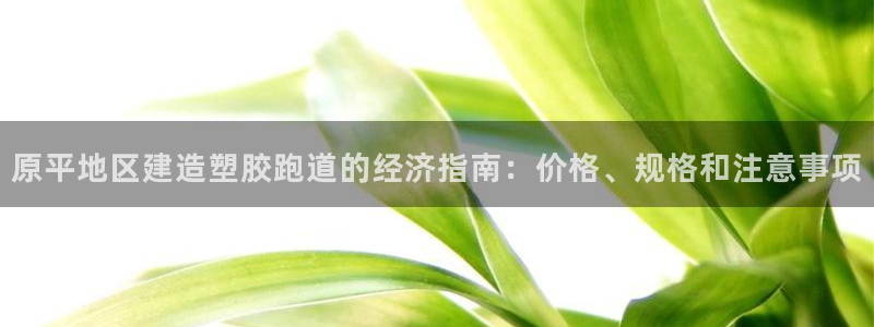 777814红·足一世：原平地区建造塑胶跑道的经济指南：价格、规格和注意事项