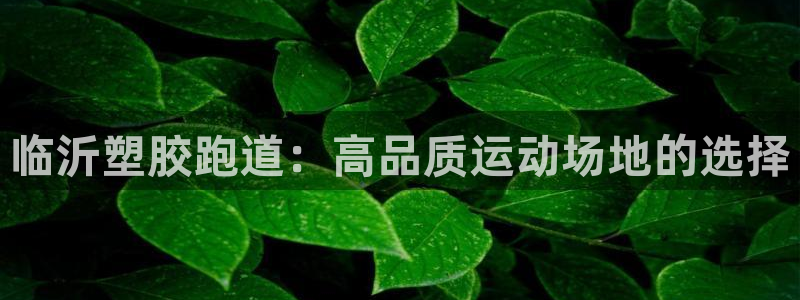 红足一1世比分网